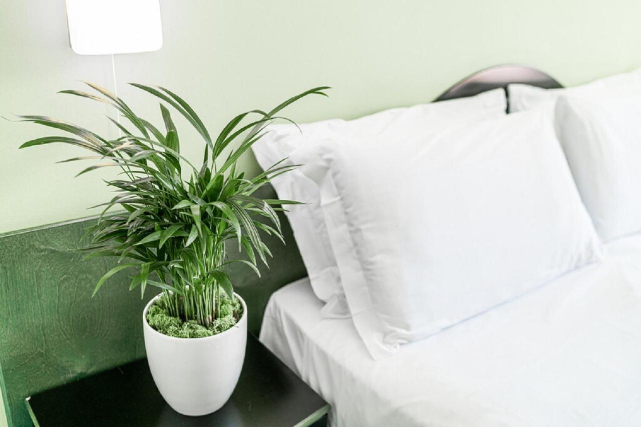 Hotel Medusa Splendid ลินญาโน ซับเบียโดโร ภายนอก รูปภาพ